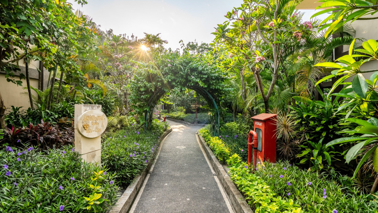 Surrounding Garden